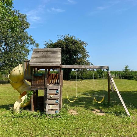 Magnifique Villa Piscine Dans Un Ecrin De Verdure Eckbolsheim Exterior foto
