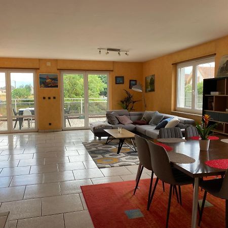 Magnifique Villa Piscine Dans Un Ecrin De Verdure Eckbolsheim Exterior foto